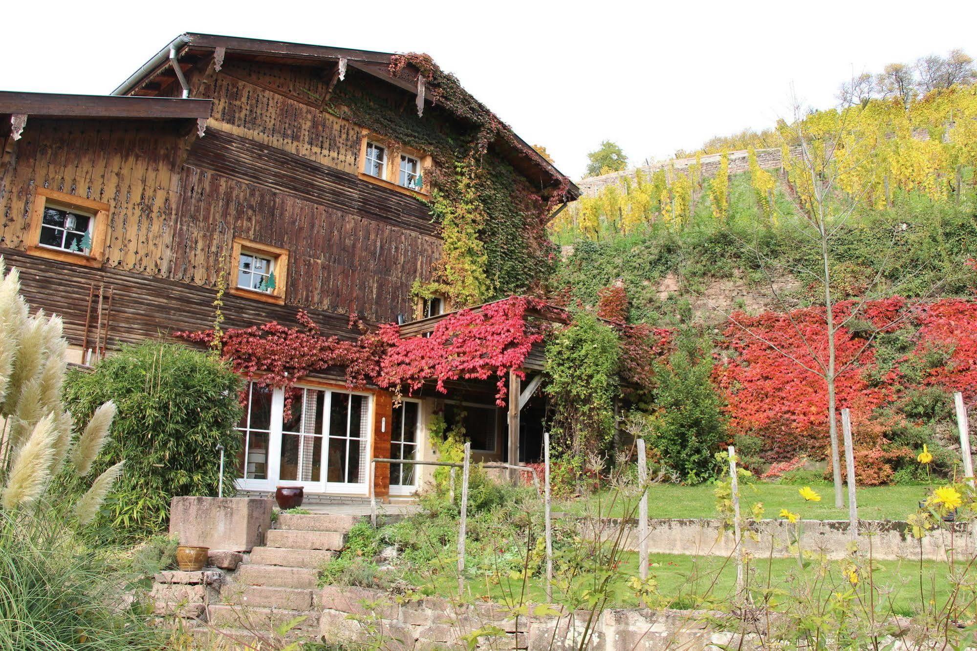 La Grange Du Couvent B&B Ribeauvillé Exterior photo